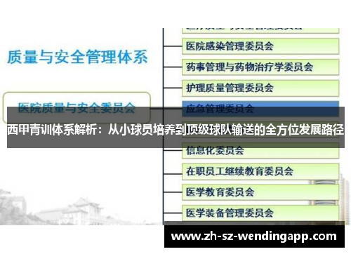 西甲青训体系解析：从小球员培养到顶级球队输送的全方位发展路径