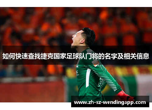 如何快速查找捷克国家足球队门将的名字及相关信息