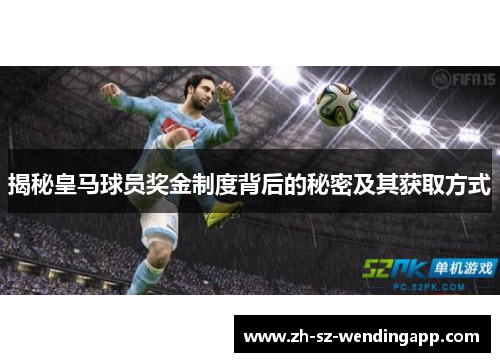 揭秘皇马球员奖金制度背后的秘密及其获取方式