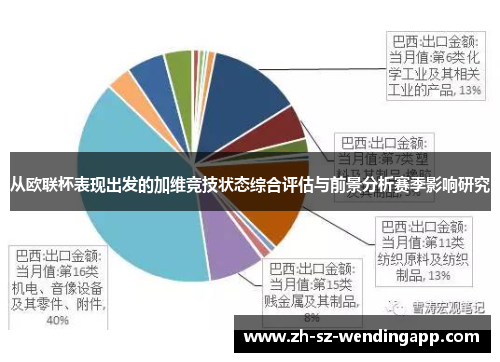 从欧联杯表现出发的加维竞技状态综合评估与前景分析赛季影响研究